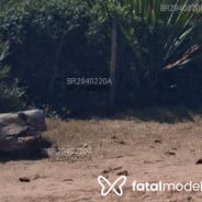 Acompanhante Rodrigão - Perfil