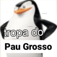 Acompanhante Augusto Samarone - Perfil