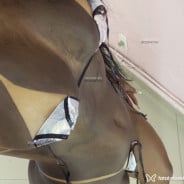 Acompanhante Pamella - Perfil
