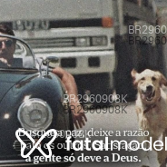 Acompanhante Bruno - Perfil