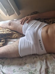 Acompanhante Dogmal - Perfil