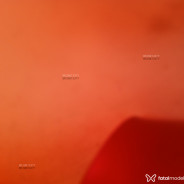 Acompanhante Eduarda - Perfil