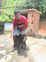Acompanhante Wandeson - Perfil