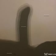 Acompanhante Gladson Ferreira - Perfil