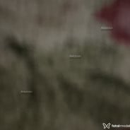 Acompanhante Vanessa - Perfil