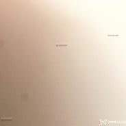 Acompanhante Angelo - Perfil