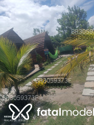 Acompanhante Junio - Perfil