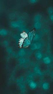 Acompanhante Buterflly - Perfil