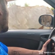 Acompanhante Rodrigo - Perfil