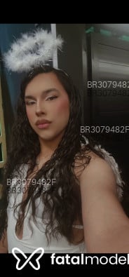 Acompanhante Transtimbo - Perfil