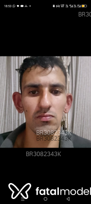 Acompanhante Andgogoboy - Perfil