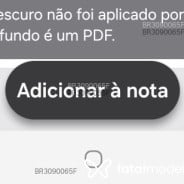 Acompanhante Rara - Perfil