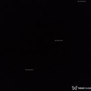 Acompanhante Borboleta - Perfil