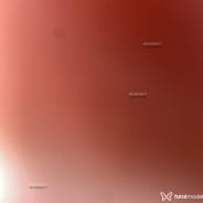 Acompanhante Isadora - Perfil