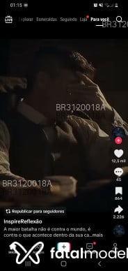 Acompanhante Novatinho - Perfil