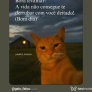 Acompanhante Amorin - Perfil