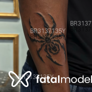Acompanhante Preto Baiano - Perfil