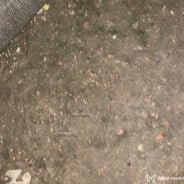 Acompanhante Branca - Perfil