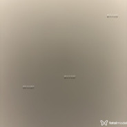 Acompanhante Maria - Perfil