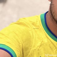 Acompanhante Machopentelhudo - Perfil