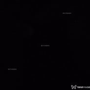 Acompanhante Gigante - Perfil