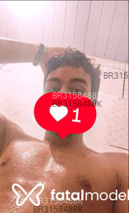 Acompanhante Nando Palmeirinha - Perfil