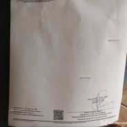 Acompanhante Rodrigo - Perfil