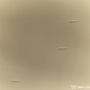 Acompanhante Paloma - Perfil