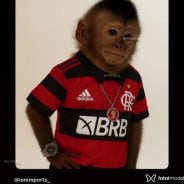 Acompanhante Dudu - Perfil