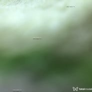 Acompanhante Vitor - Perfil