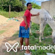 Acompanhante Bielzinho - Perfil