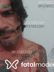 Acompanhante Professor - Perfil