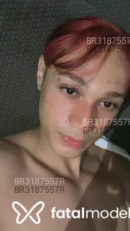 Acompanhante Gulosinho - Perfil