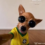 Acompanhante Vanessa - Perfil
