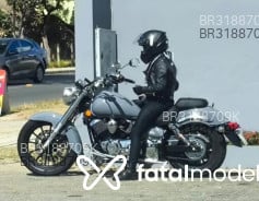 Acompanhante Thiago - Perfil