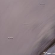 Acompanhante Jade Rare - Perfil