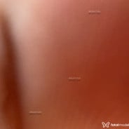 Acompanhante Alana - Perfil