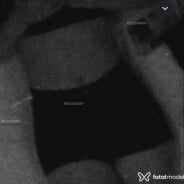 Acompanhante Sofia Alves - Perfil