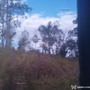 Acompanhante Jonatan - Perfil