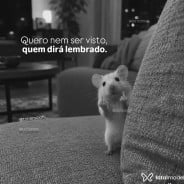 Acompanhante Ruan Almeida - Perfil