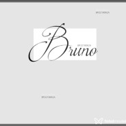 Acompanhante Bruno - Perfil