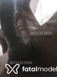 Acompanhante Negrao Paulada - Perfil