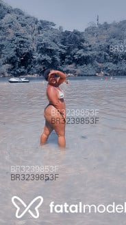 Acompanhante Alerquina - Perfil
