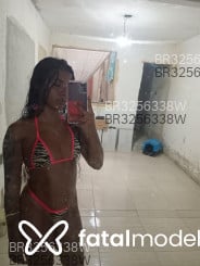 Acompanhante Estelar - Perfil