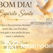 Acompanhante Tigrão - Perfil