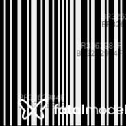 Acompanhante Metalúrgica - Perfil
