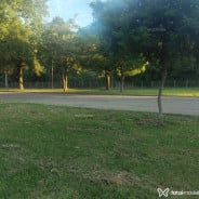 Acompanhante Biel - Perfil