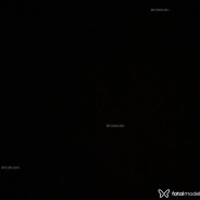 Acompanhante Mellanye - Perfil