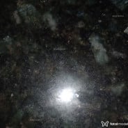 Acompanhante Didigo - Perfil