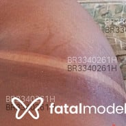 Acompanhante Viviane Silva - Perfil